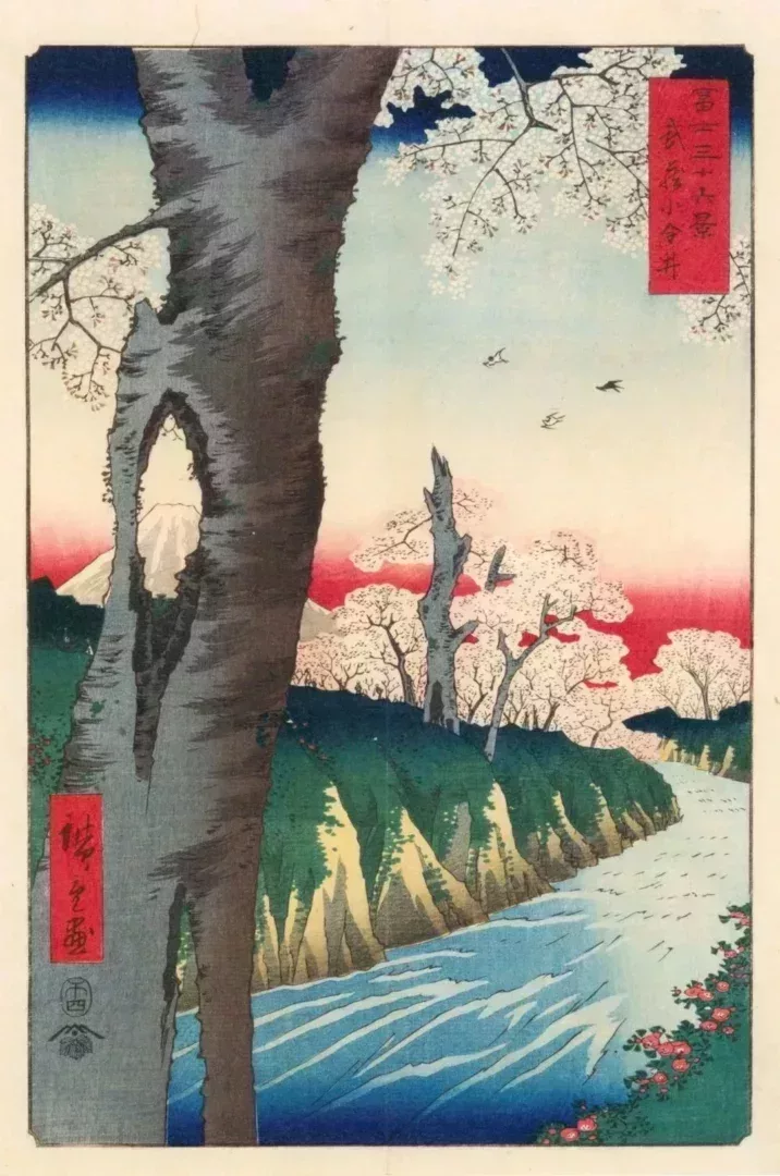 《富士三十六景之武藏小金井》,歌川廣重