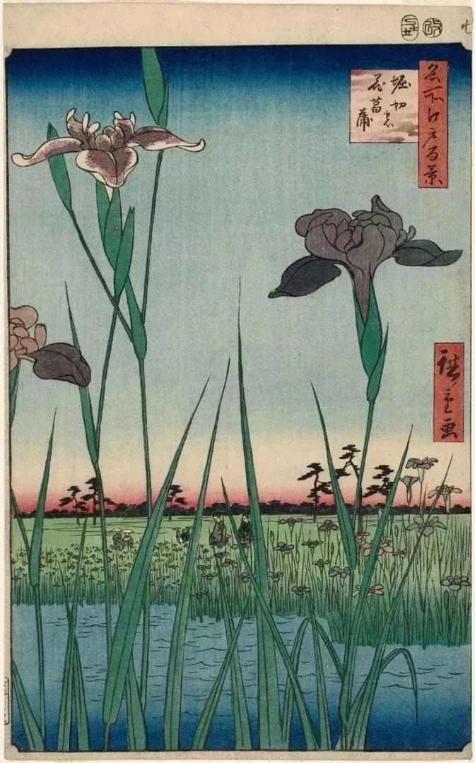 《名所江戶百景之堀切的花菖蒲》,歌川廣重