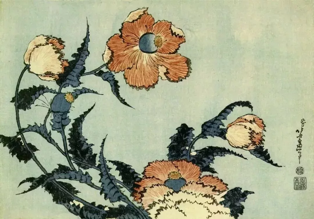 《罌粟花》,葛飾北齋