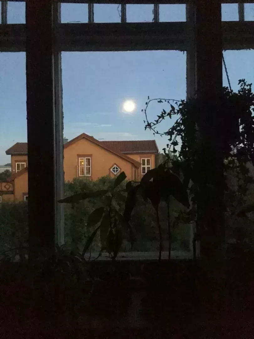 仲夏夜