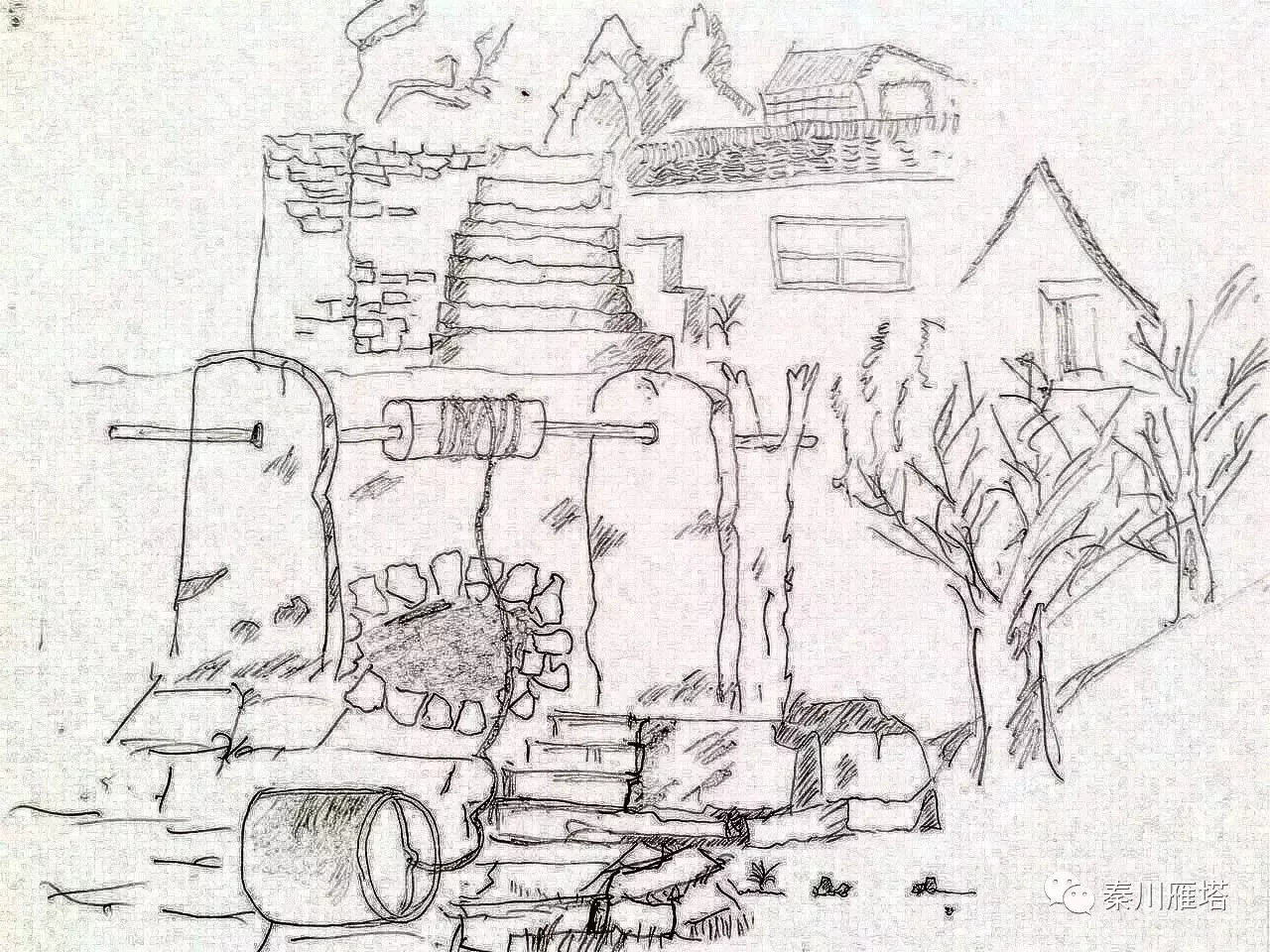金雁/插畫