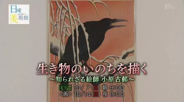 NHK《日曜美術館》節目“描繪萬物的生命--不爲人知的畫師小原古邨”