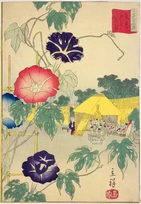 《東京名所 入谷朝顏》,二代目歌川廣重畫(近年,新研究指這幅浮世繪原作爲無名氏之《東京名所 入屋》)