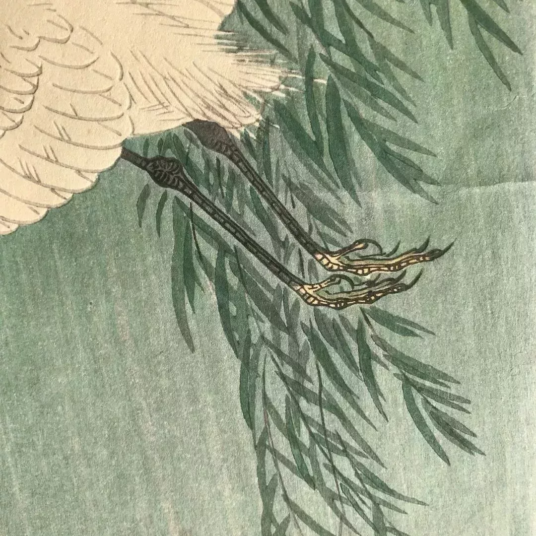雙爪的細節,飛翔中的姿態