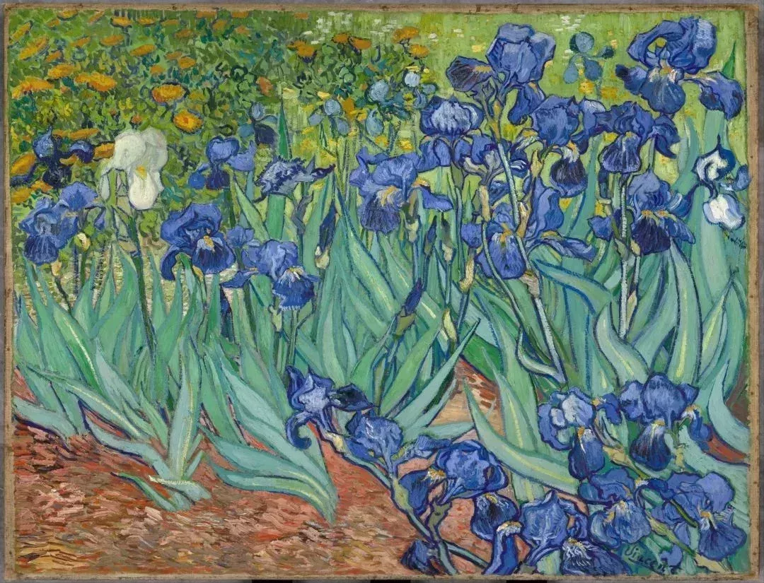 《鳶尾花》,1889.梵高美國洛杉磯保羅·蓋蒂博物館藏