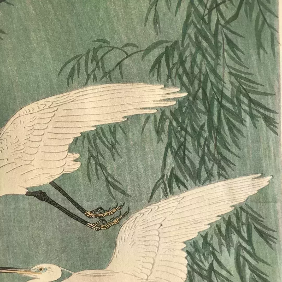 比翼