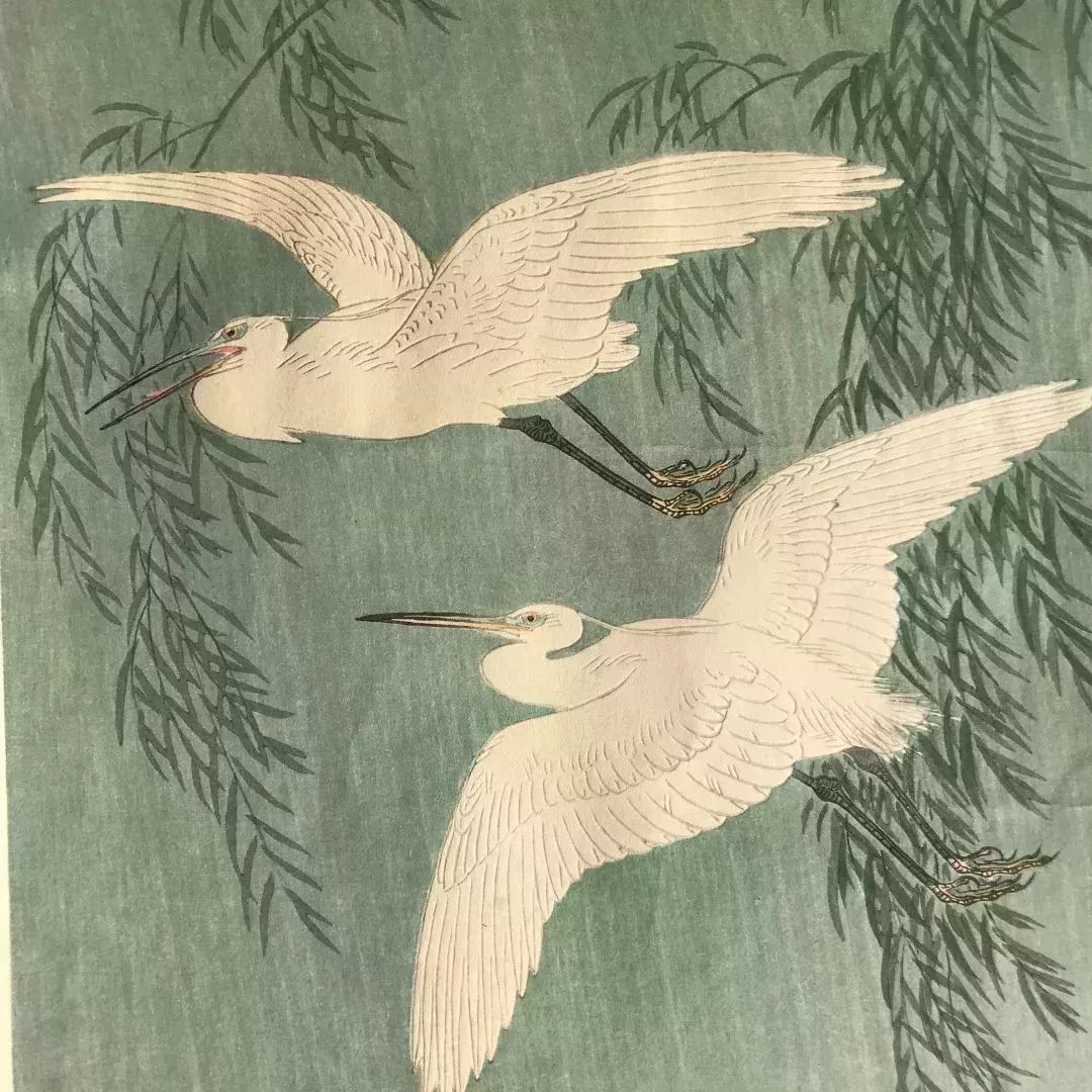 比翼雙飛的白鷺和撫風微搖的翠柳