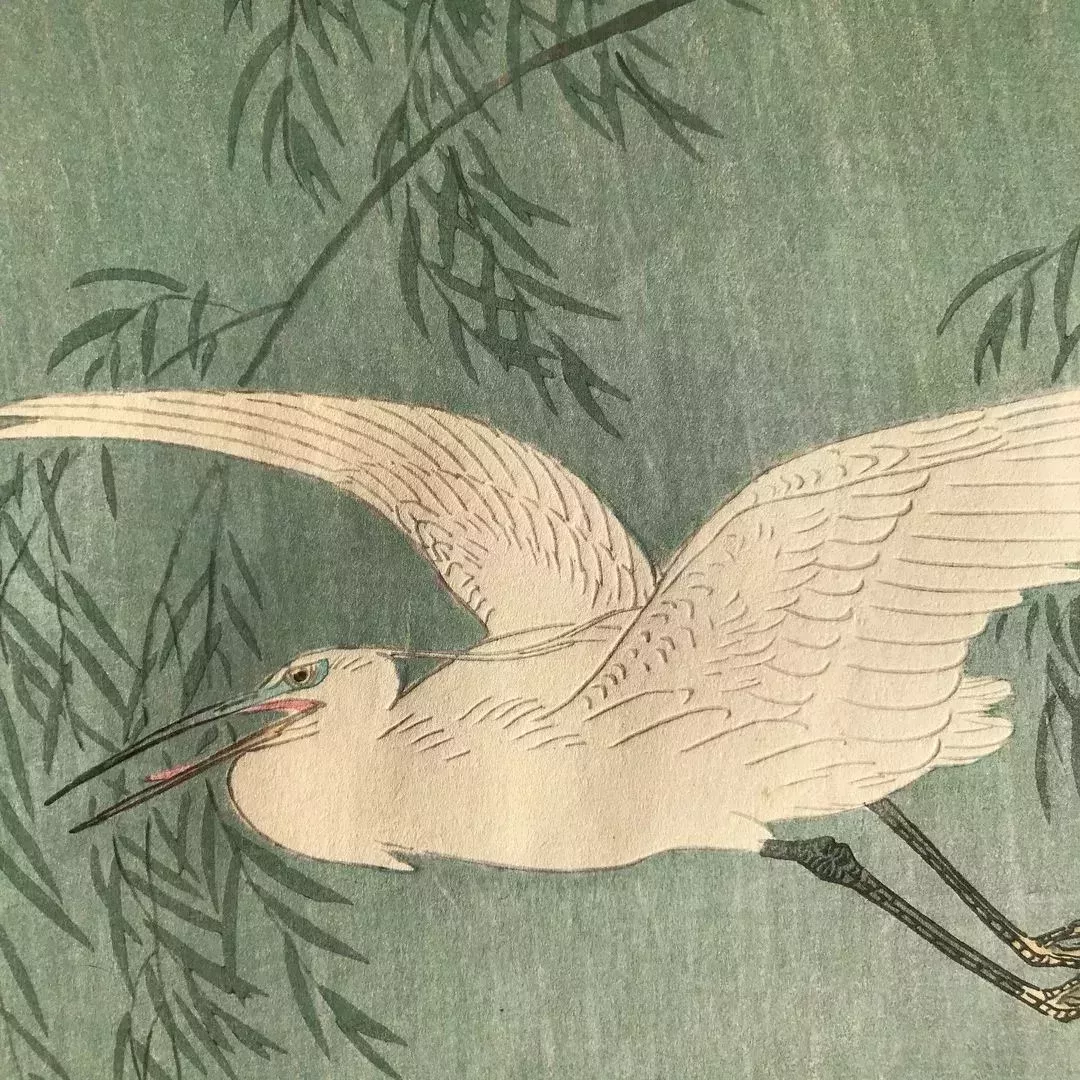 柳枝下的飛翔