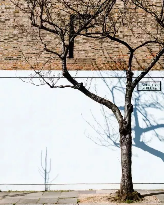 Sudeley Street, 倫敦,建於約1840年