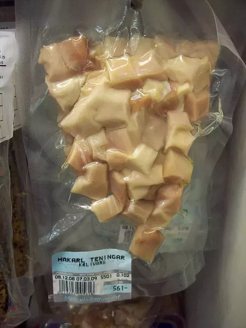 發酵鯊魚肉(hákarl),圖源:Jóhann Heiðar Árnason