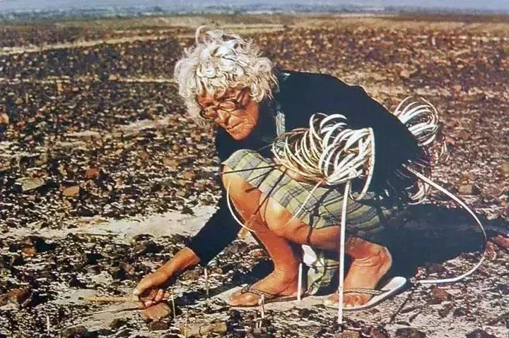 荒原上的瑪麗亞·賴歇