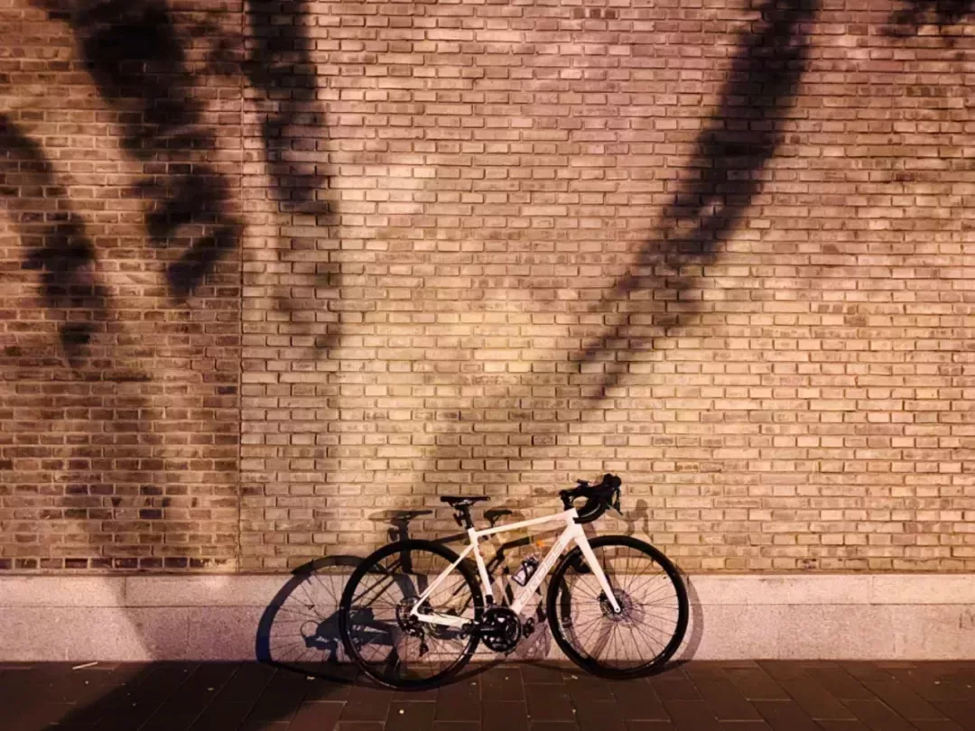 ▲ 王吉的公路車。