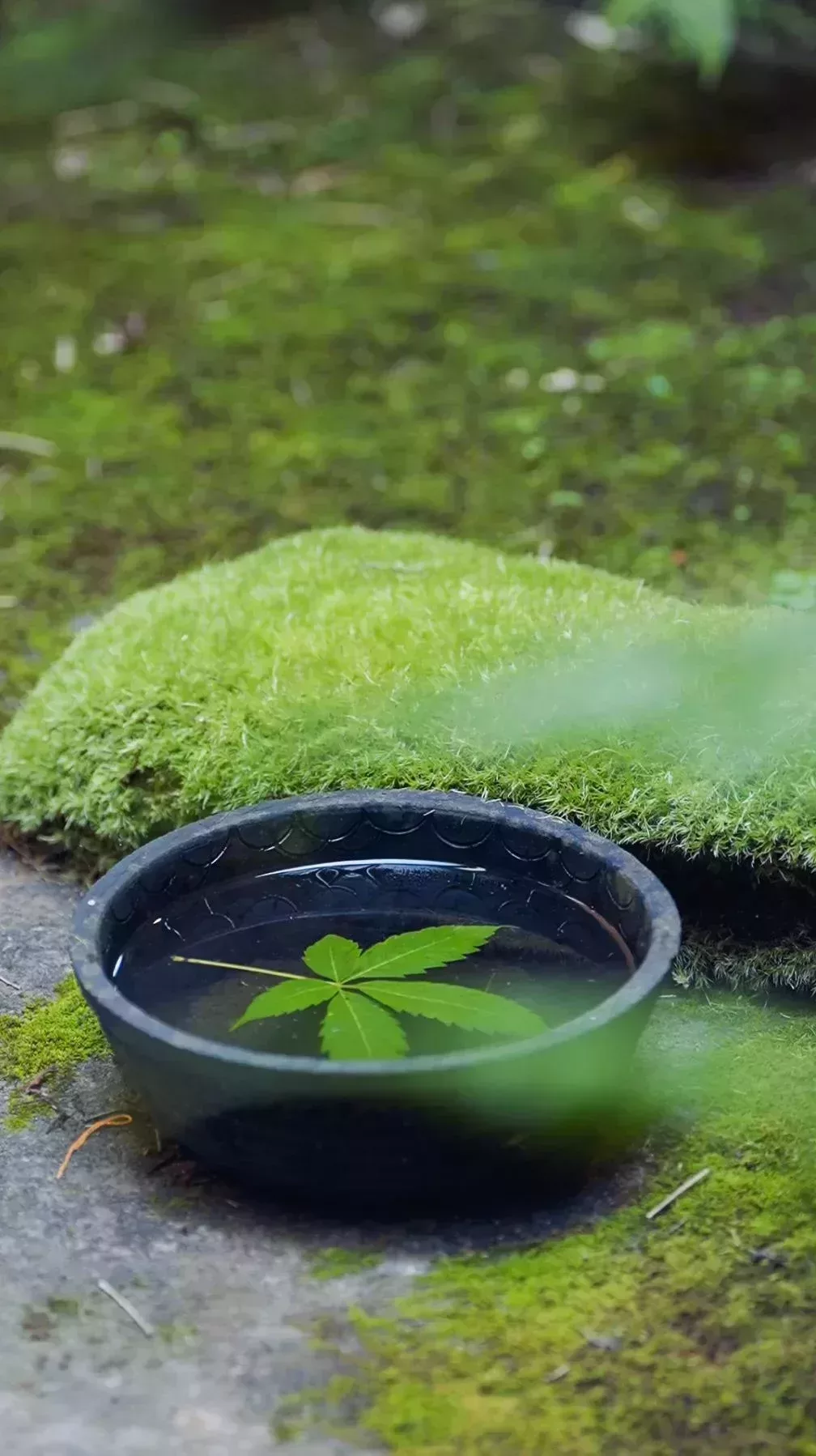 收來的中藥櫃和草枕頭
