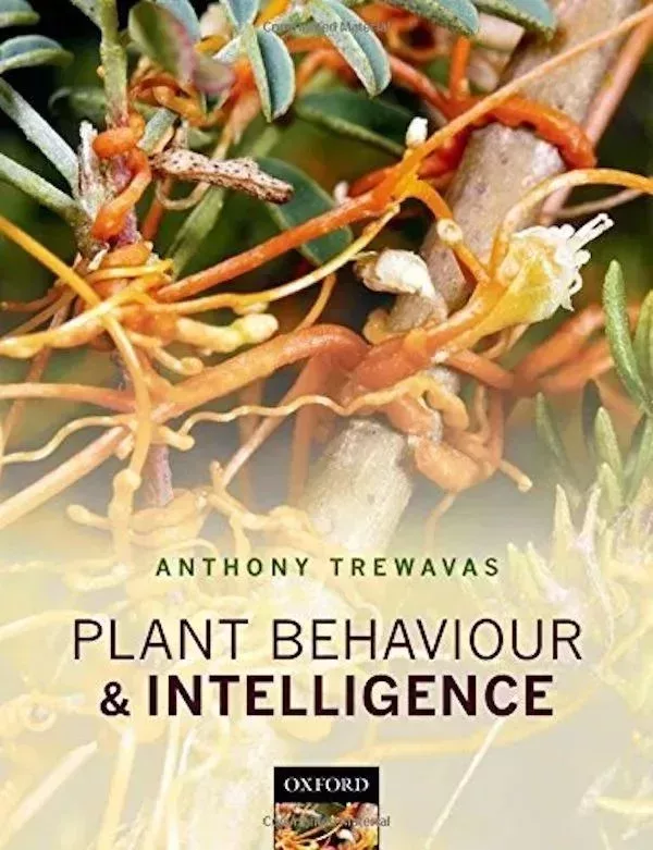 《植物行爲與智能》(Plant Behaviour and Intelligence,2014)書封