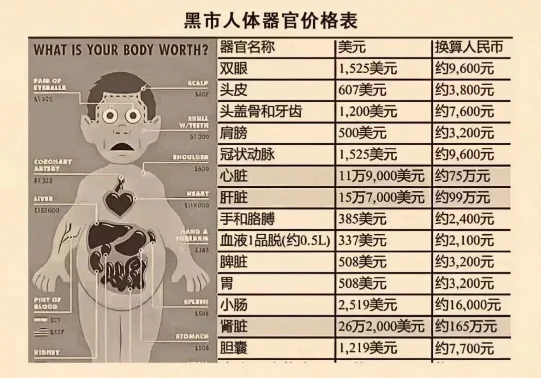 賣完這些器官後,竟然還有得賣