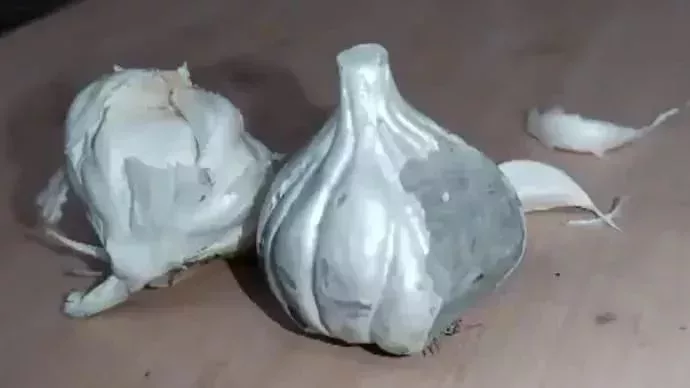 水泥製作的假大蒜