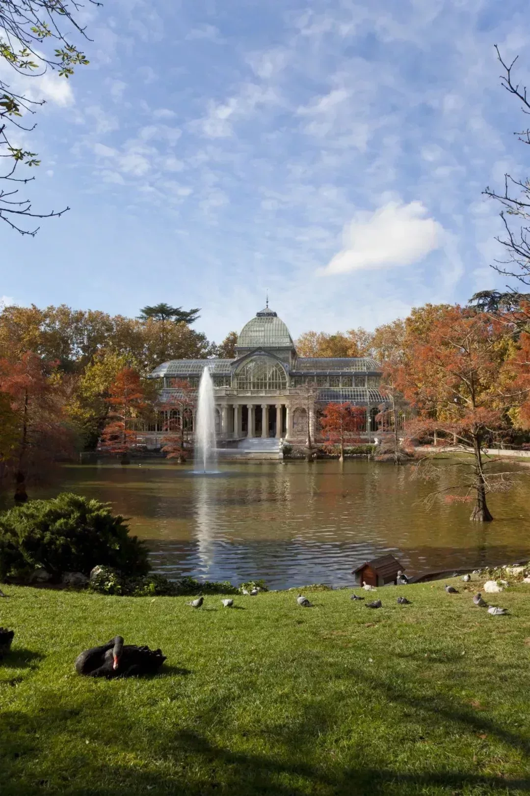 馬德里太陽門廣場(上)與麗池公園的秋天(下)