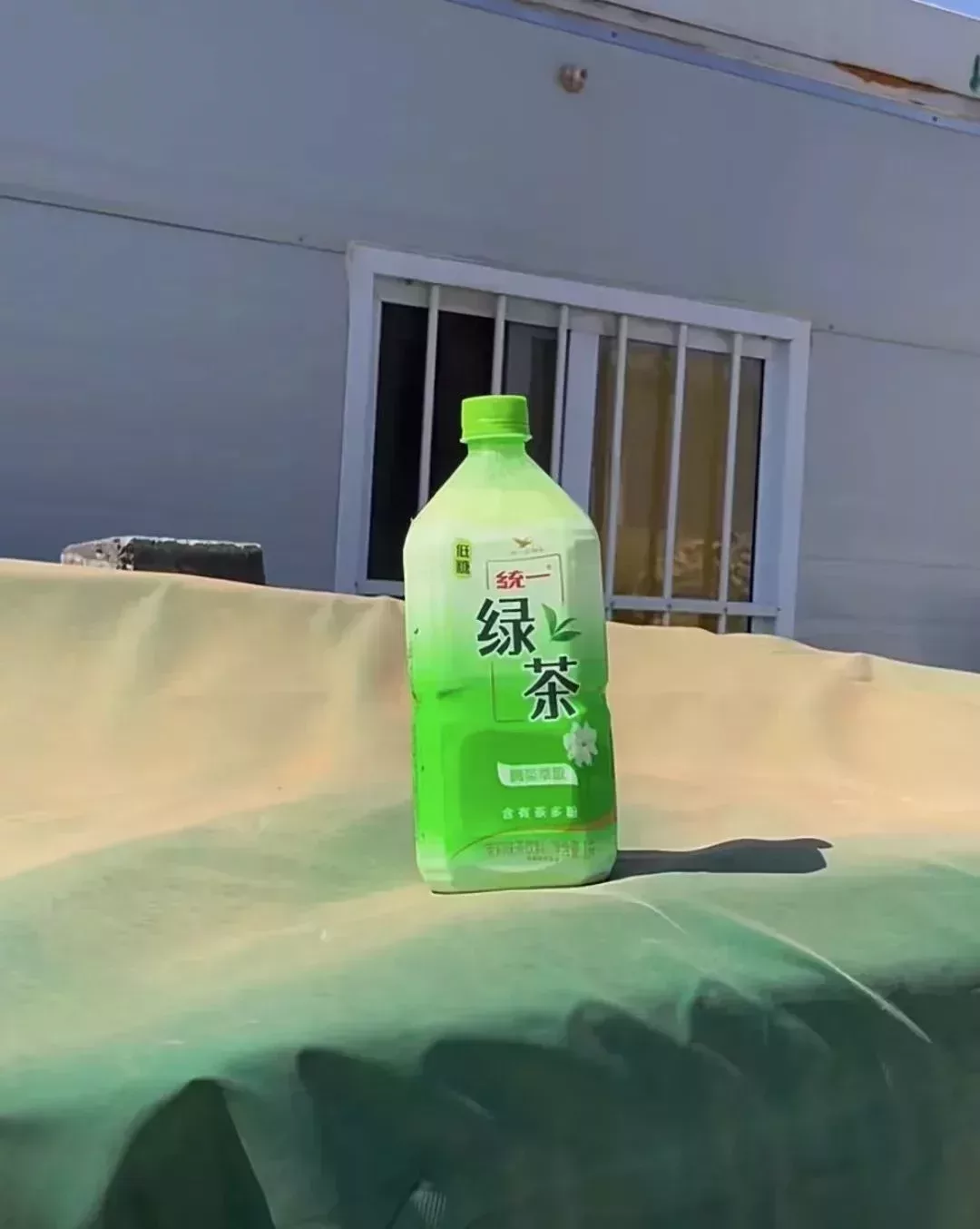 哈薩克小夥子送給誠誠的駱駝奶。