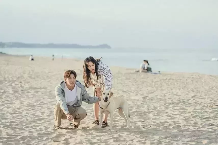 都市男女的愛情法則
