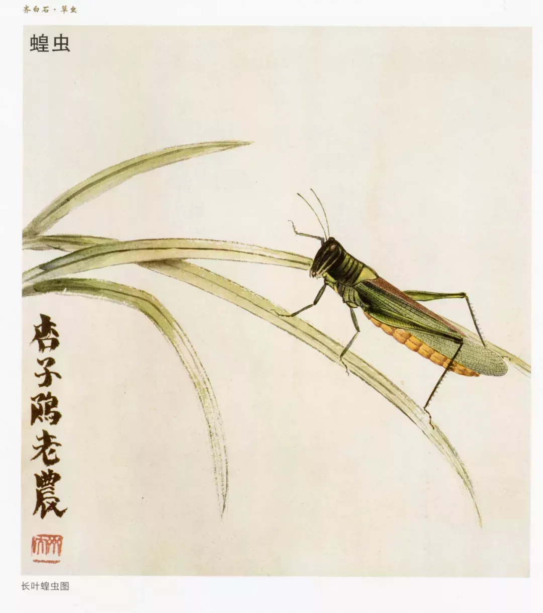 蝗蟲,齊白石繪
