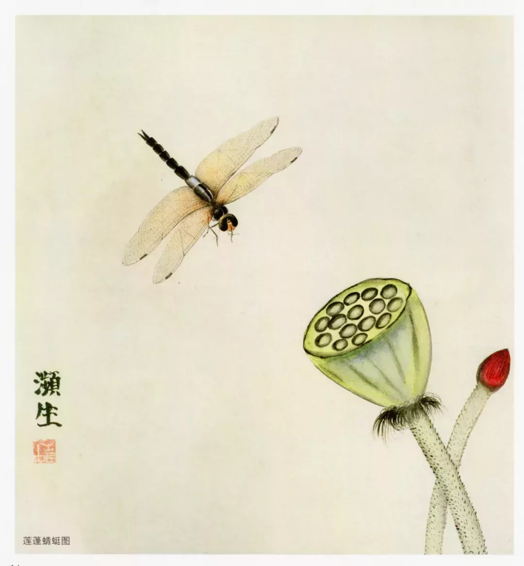 蜻蜓,齊白石繪