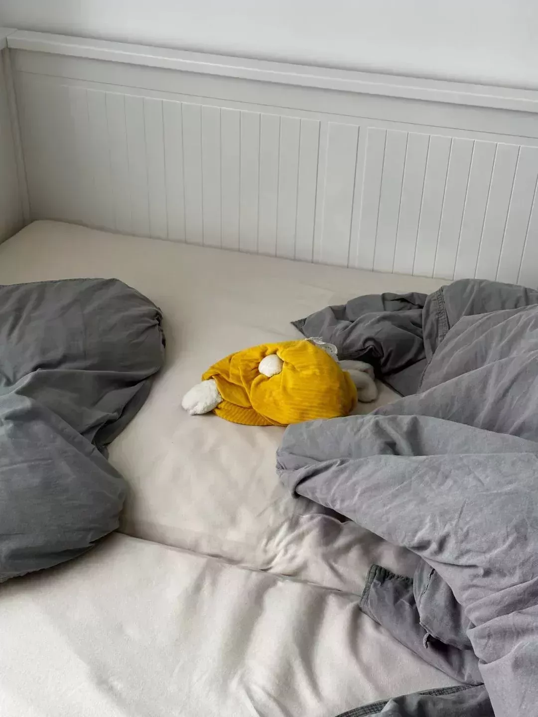 Sean偷塞到行李的這隻兔子從小學陪我到現在🐰