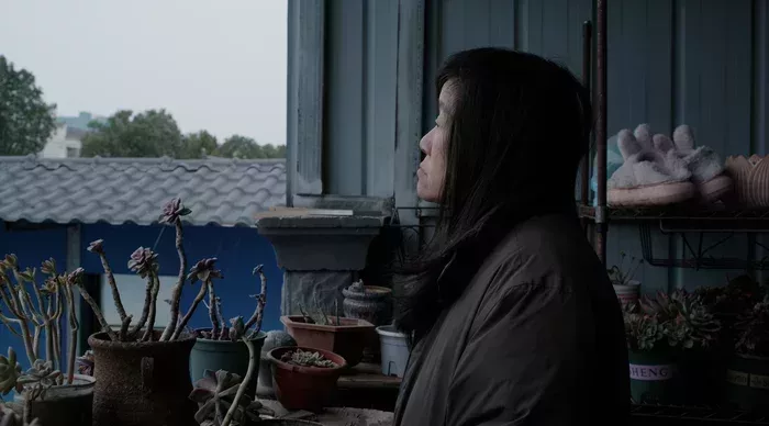 2023年第一場雪後,餘秀華苦苦思索爲何寫不出詩歌