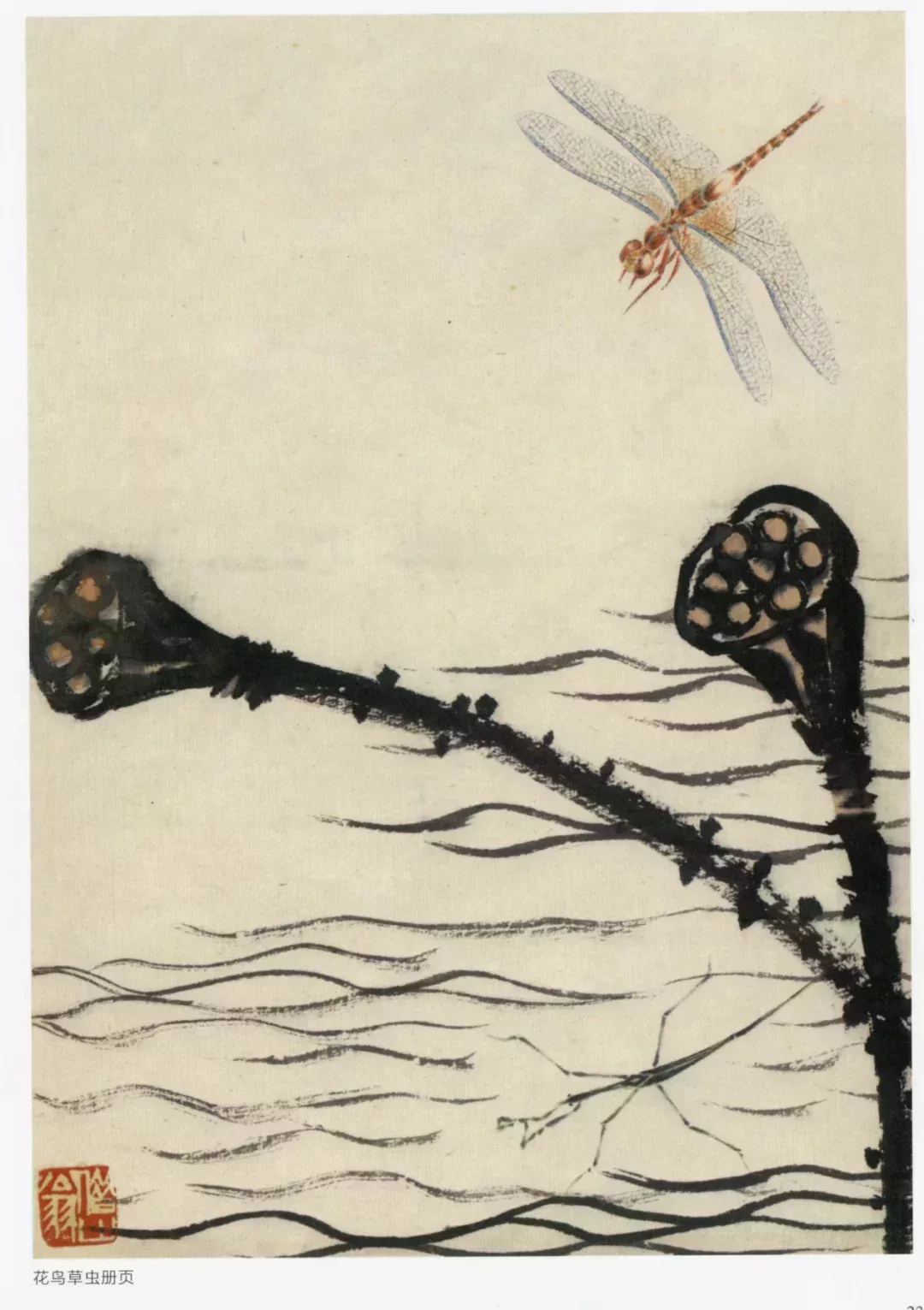 蜻蜓,齊白石繪