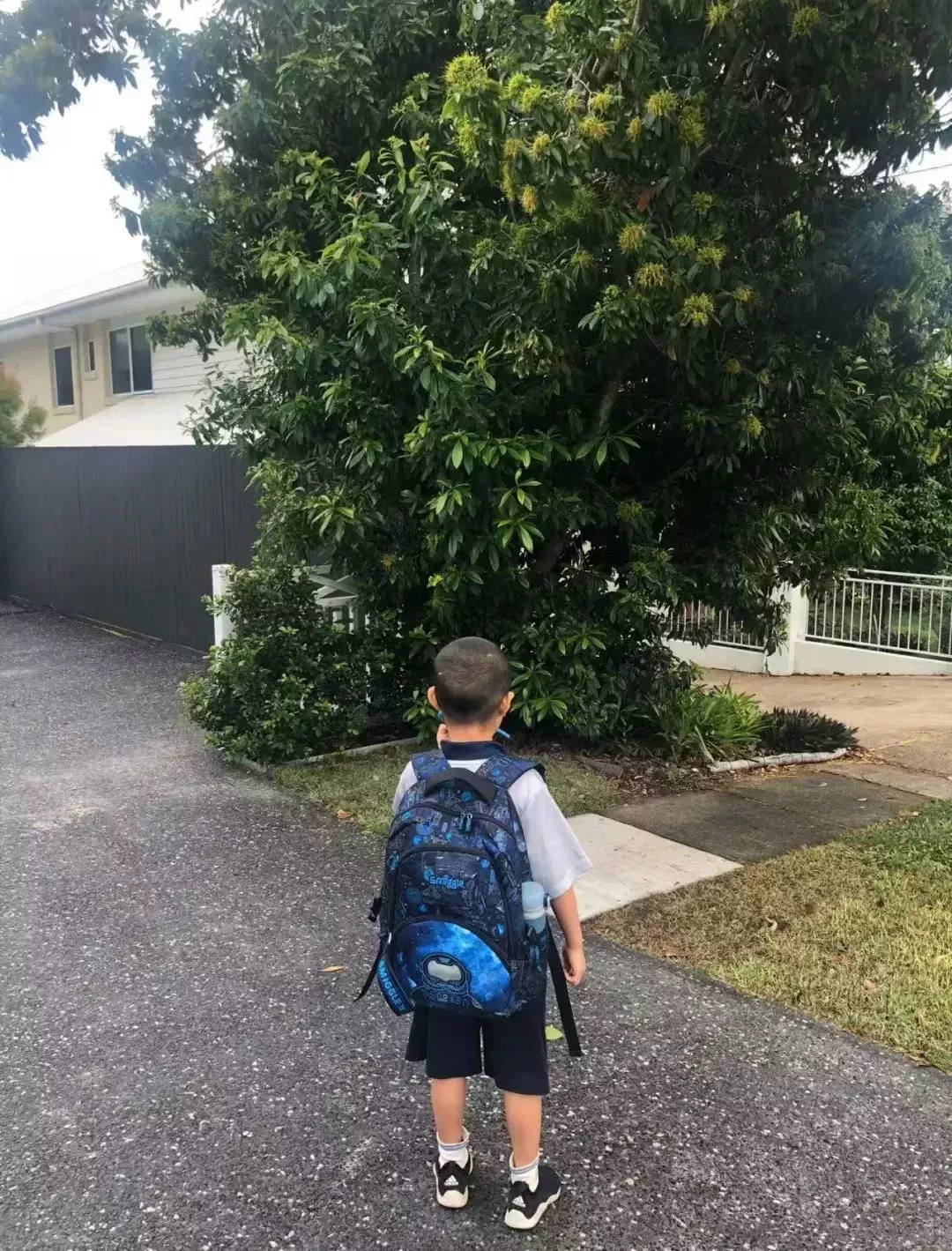 孩子進入了特殊學校