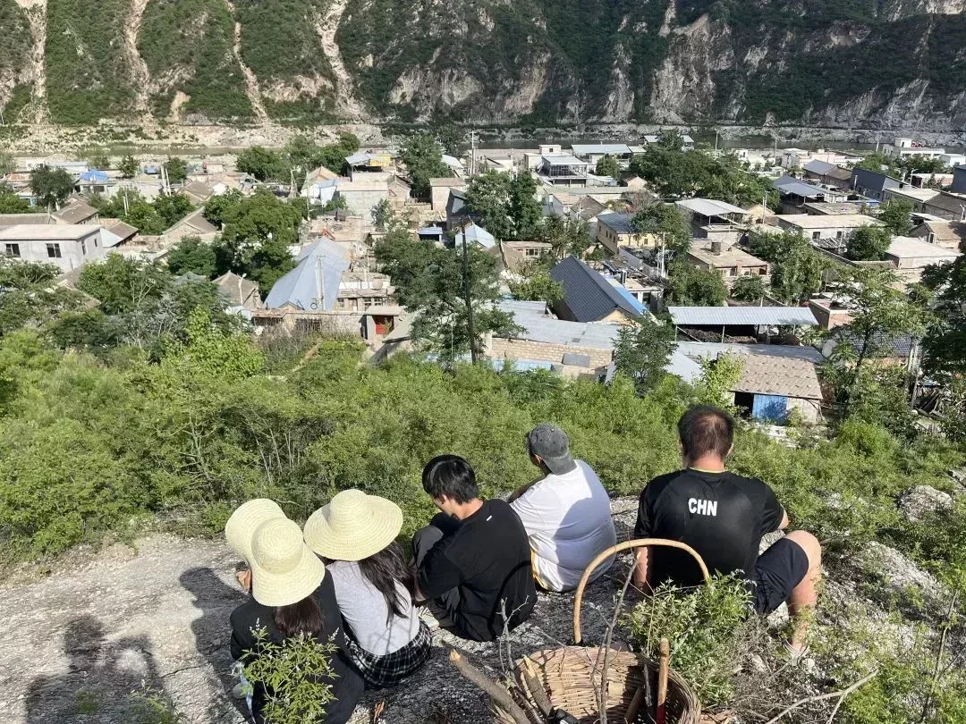 親近大自然,是年輕人住進青年養老院的訴求之一。圖爲觀野開展的上山撿柴活動。