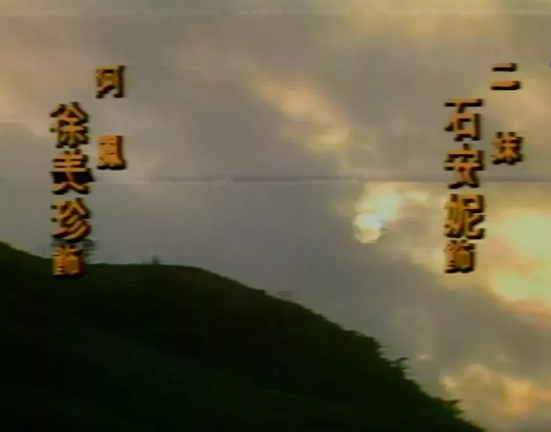 《浮萍》(1981)