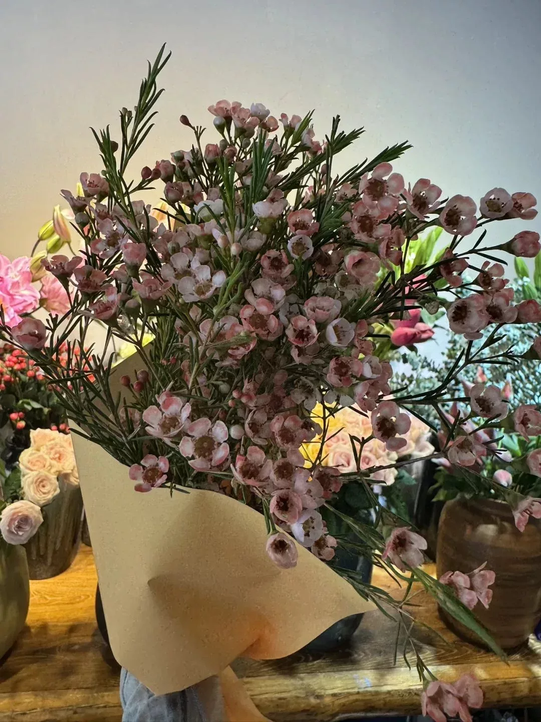 人一旦知道愛是什麼樣,就會矯情起來……