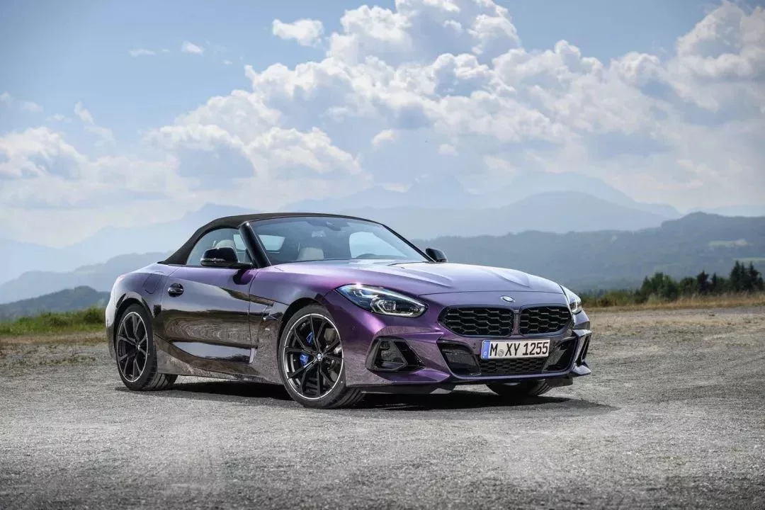 Z4 G29