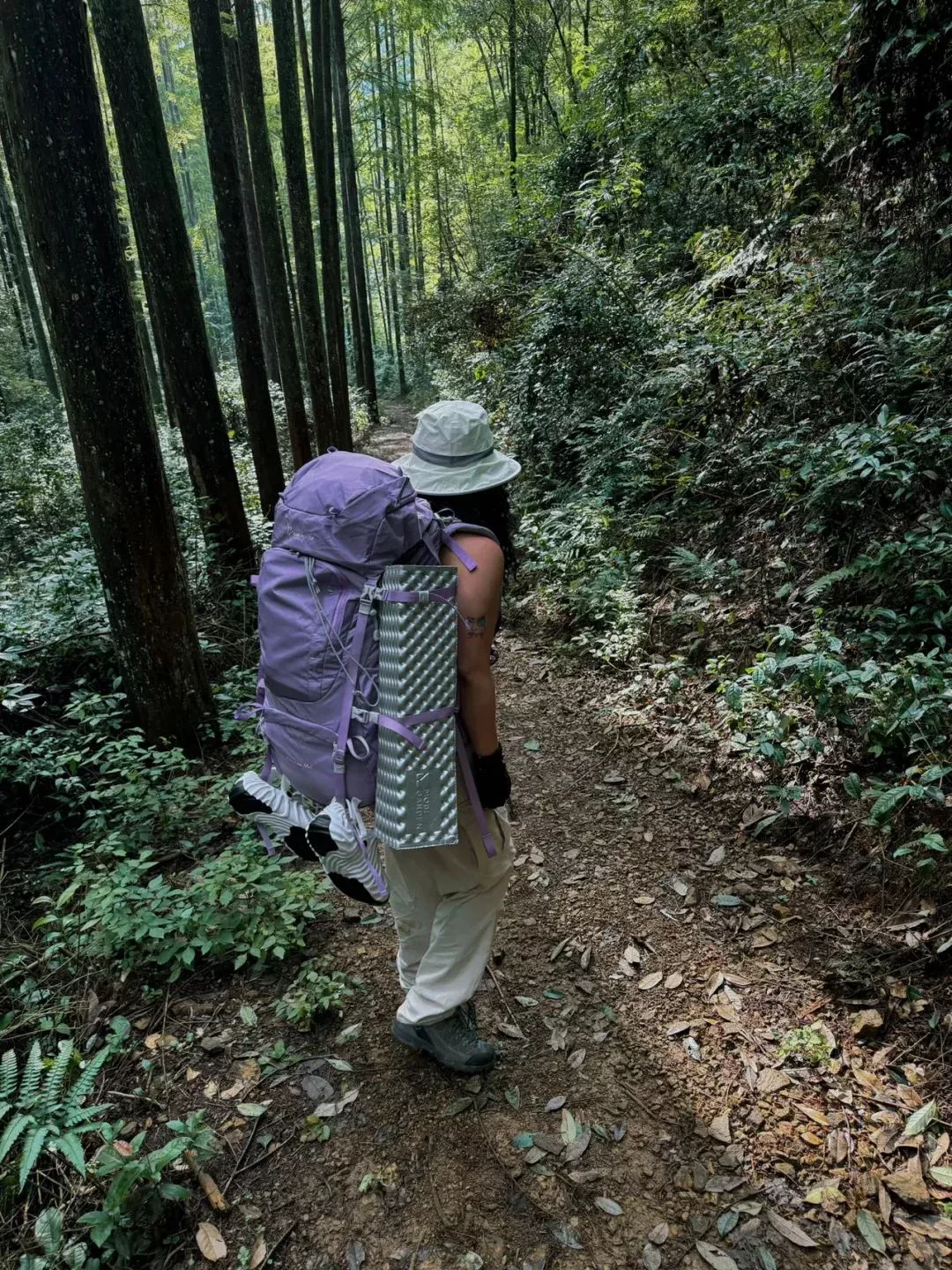 人一旦知道愛是什麼樣,就會矯情起來……